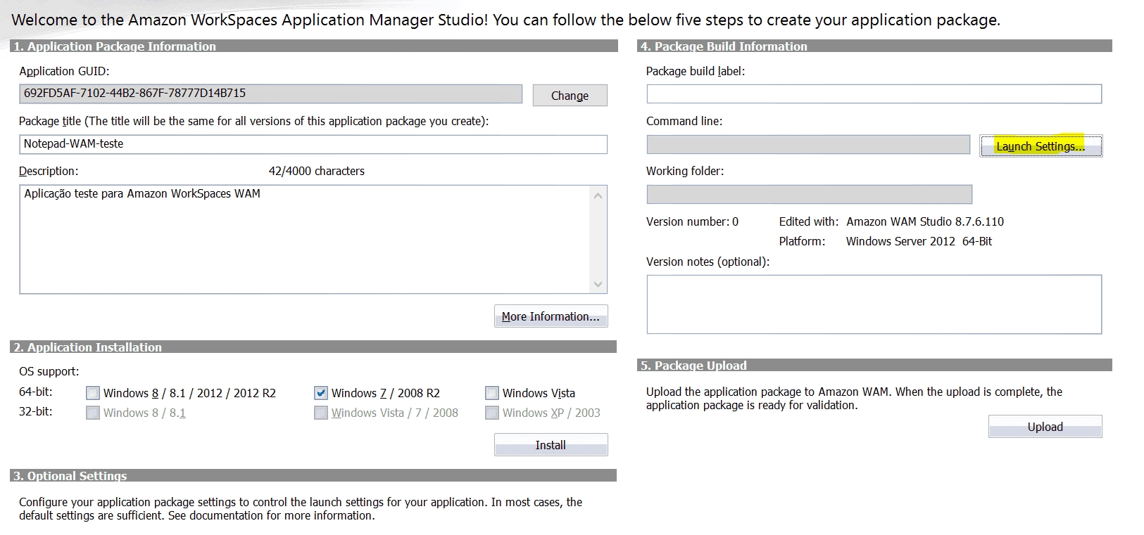 Step 3: Execution Options
