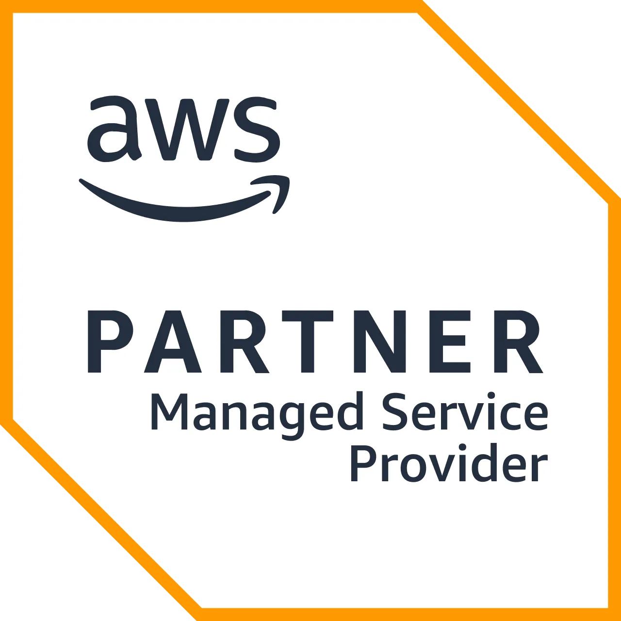 Managed Service Provider
