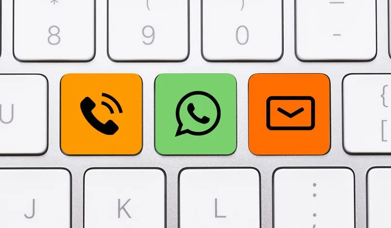 Entre em Contato com a CloudDog
