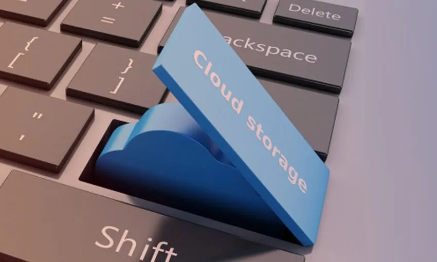 Specialization in Storage Services