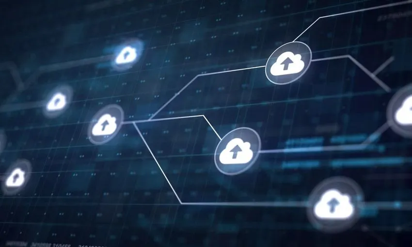 Specialization in Cloud Network Services
